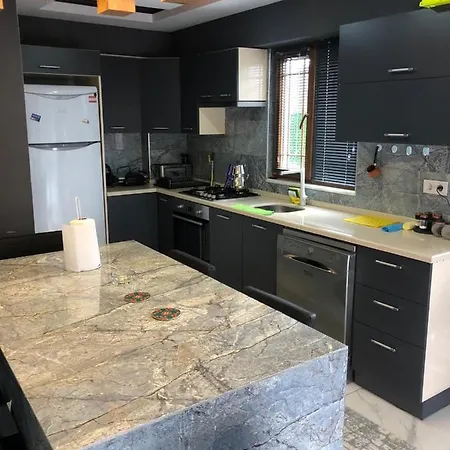 Apartment Exceptional With Private Pool And Fireplace Surrounded By Nature In Sapanca Sakarya (Marmara)
